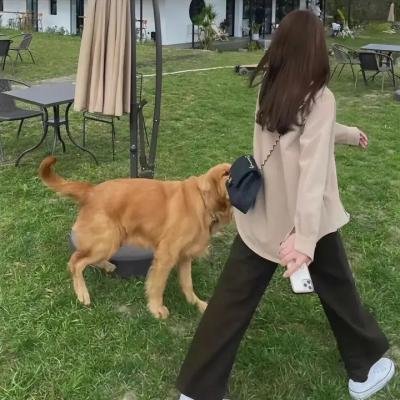 怪兽高中